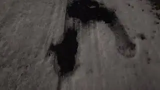 VID 20260131 231514