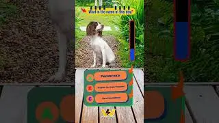 name this breed? - 1 #quiz #knowledge  #funny #animals  #pets