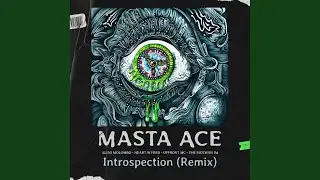 Introspection (Remix)