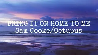 Bring It On Home To Me - Sam Cooke/Octupus (cover by Johan Untung) (Lyrics On Screen)