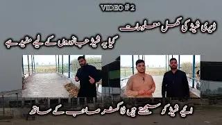 Perfect Dairy Shed Kaisa Hota Hai? | Expert Review With Dr. Sahib | Pakistan Dairy Farming