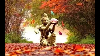 Weekend Meditation Reaching for Higher Intuition, Insight & Higher Self!