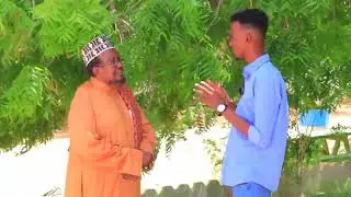 dhibaatooyinka geed talaalka iyo faa,iidooyinkiisa