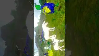 The Old Ark Gameplay Highlights You Never Saw