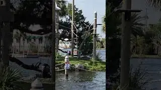 Hanging with the family. Subscribe like and comment.