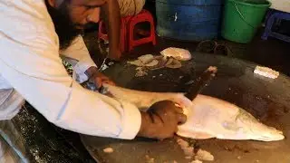 Incredible Clown Knife Fish Cutting | Incredible Clown Knife Slice | Clown Knife Fish Cutting Videos