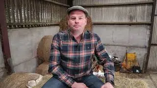 Paul Kelly - Hay Wrap (Official Video)