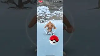 Shiny from timed research