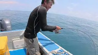 Marlin capture in Rompin