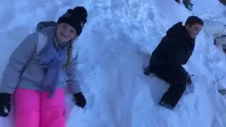 Christmas Tree Hunt 2020