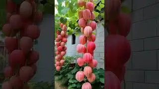#vegetablelover #viral #vegan