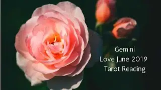 Gemini June 2019 // Could This Be Your Soulmate? // Love Tarot Reading
