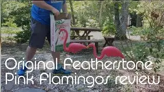 Original Featherstone Pink Flamingos review