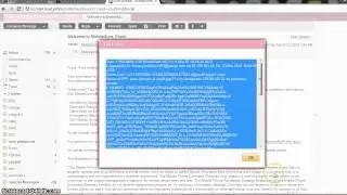 Southern Belle Marketing- How to submit a missing credit request