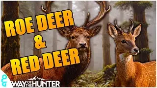 Hunting Roe/Red Deer In Way of the Hunters Most Hated Map