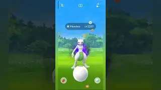 *Shiny* Shadow Mewtwo - Kapibara RAIDziara #kapibara #shadow #capy #pokemon #mewtwo #shiny #raid