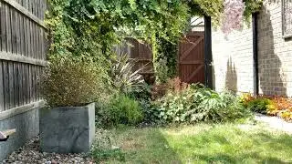 Beautiful English Garden waterfall feature