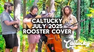Bluegrass Cover Alice in Chain's 