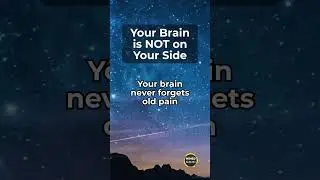 Your brain never forgets old pain | Mined Mind