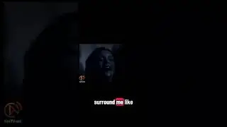 Sextou com Damon&Elena