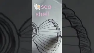#seashell #drawing #sketch #art #nakshi #paper #frame #sea #seashells
