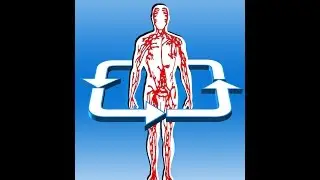 what are humans made up of?