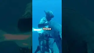 Giant Fish Attacks Fisherman😨
