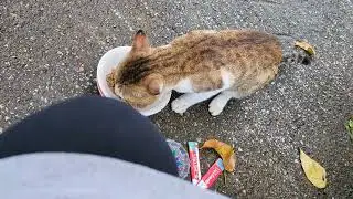 おたまこ22344😘小玉💞来てくれました💖嬉しい💖