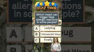 Quiz video #Trivia#Funwithfacts#Mindgames#Quizaddict#Brainwork#Quickquiz#Popculturequiz#Trivia#Daily