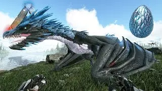 ON TAME UNE WYVERNE ! (ARK: Valguero #26)