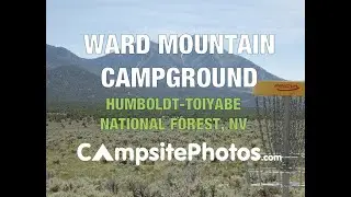Ward Mountain Campground, NV