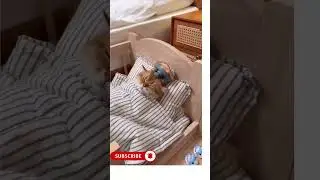 FUNNIEST Cat Gets RELAXING Head Massage While Watching Cartoons 😂🐾