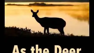 As the Deer (with lyrics) - best heartwarming version