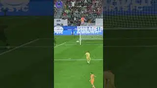 Fernando Torres Luckiest Goal Ever ⚽