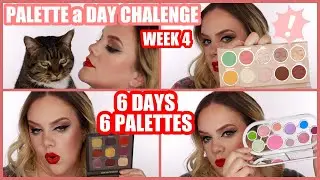 PALETTE A DAY CHALLENGE | Week 4 | 6 PALETTES, 6 LOOKS - Let's rank them!