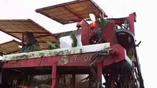 SIMON RTP1RB - LEEK HARVESTER FOR INDUSTRIAL PURPOSE