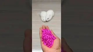🌈🐇 Satisfying 🌹✨ Reverse Video ASMR ✨🐰 #satisfyingloop  #ytshorts #shorts #asmr #rabbit #funny