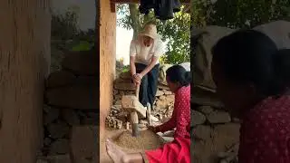 #plb dhaan kutdai ama sanga