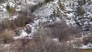 Willow Creek Trail