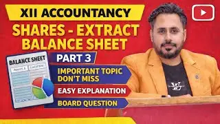 EXTRACT BALANCE SHEET- SHARES PART 3