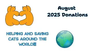 Giving Back - August 2025 Cat rescue Donations