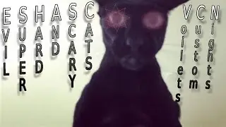 EVIL SUPER HARD AND SCARY CATS - Voilet's Custom Night