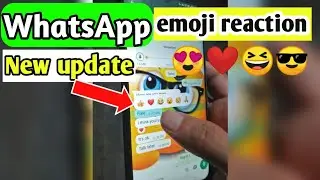 WhatsApp New update emoji reaction on messages