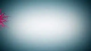 UMAMI - Free Cinema 4D Plugin (R12-15&uarr;)