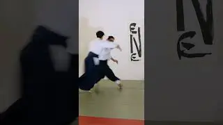 Aikido free work #aikido #dojo #martialarts #reflectrue #fun #aikidolife #flow #shorts
