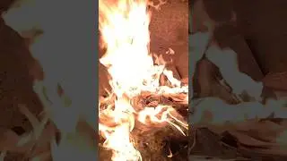 Cold nights, warm fires, and quiet thoughts#youtubeshorts #peace #warm#cozy #winter#vibes #memories