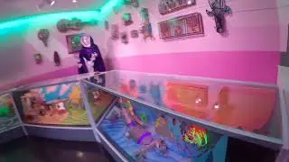 The Real Unreal Meow Wolf Dallas