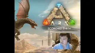 Cooked Earth Ark Series Live