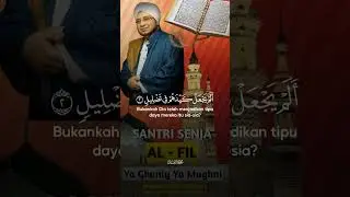Kenapa Pasukan Bergajah Bisa Kalah? QS Al-Fil #ngaji #suratalfil