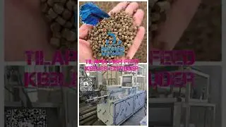 Tilapia Fish Feed Kibbles Extruder #FishFeedPelletsExtrusionMachine #ChunkFishFeedExtrudingMachine